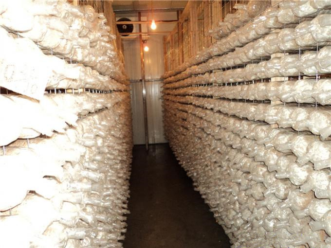 建一個(gè)100平方香菇冷庫全套要多少錢？