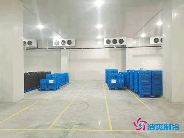 建設一個海鮮低溫冷庫造價多少錢一平方？