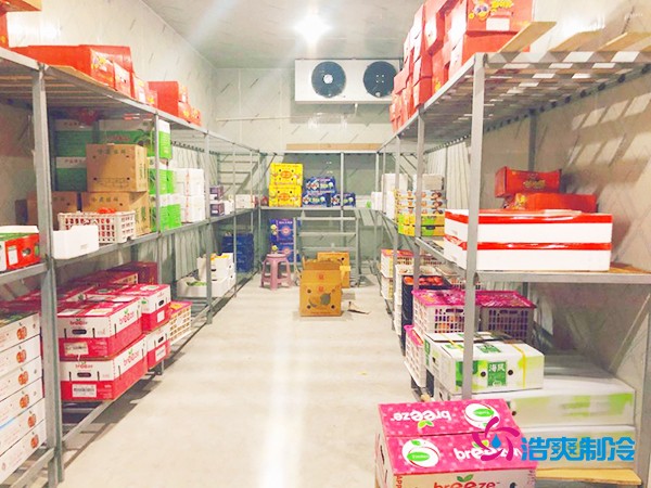 5噸水果需要多大冷庫(kù)？答案出乎意料！