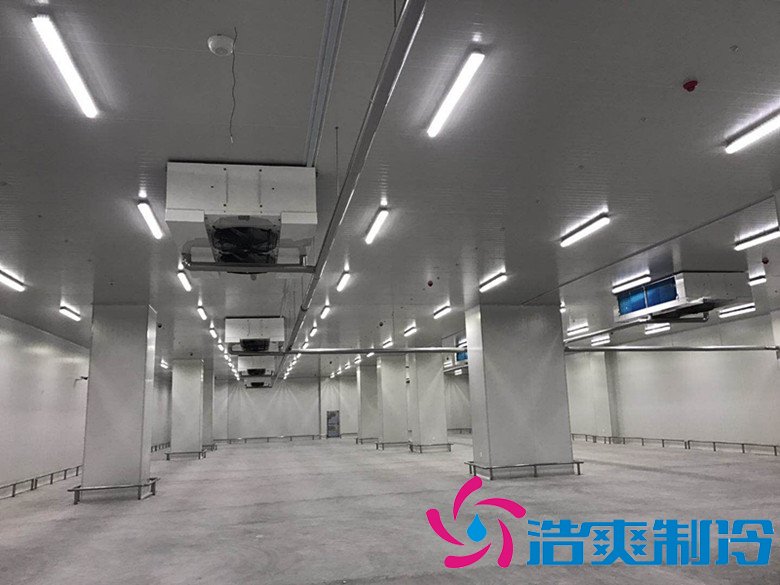 港口冷鏈冷庫(kù)市場(chǎng)趨勢(shì)和現(xiàn)狀，萬(wàn)噸港口冷鏈低溫倉(cāng)儲(chǔ)造價(jià)預(yù)算