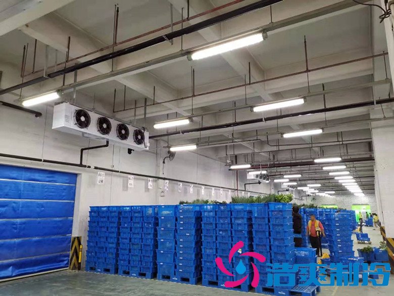安裝10000m3生鮮物流冷藏庫（低溫倉庫）建設(shè)廠家收費標準